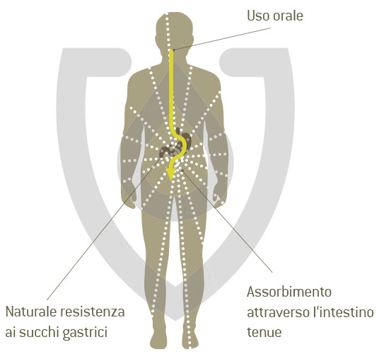 Assorbimento naturale