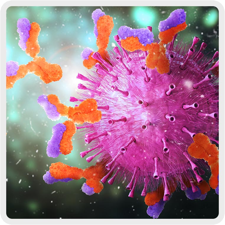 Immagine-quadrata-sistema-immunitario-02-762×762 Anticorpi